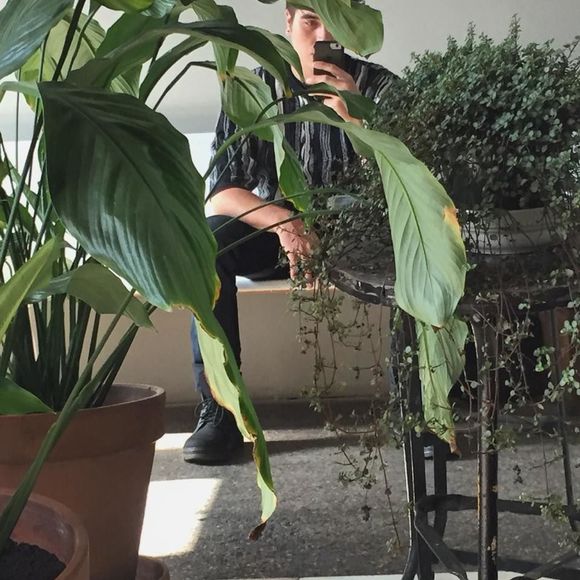 Meet your Posher, Joseph - Picture 1 of 1